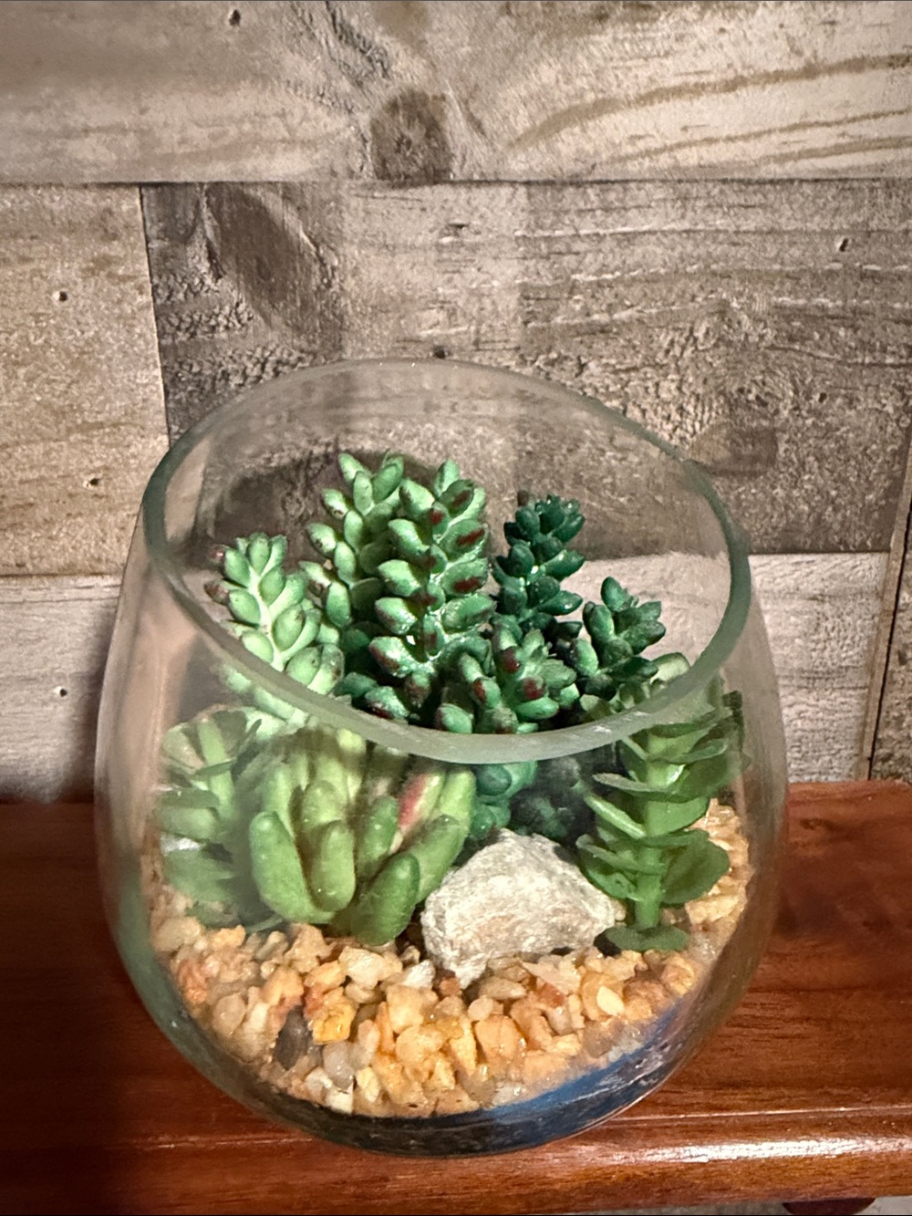 Glass Terrarium with Mixed Green Succulents
